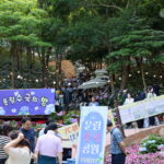 20260618_운림 수국의 밤1